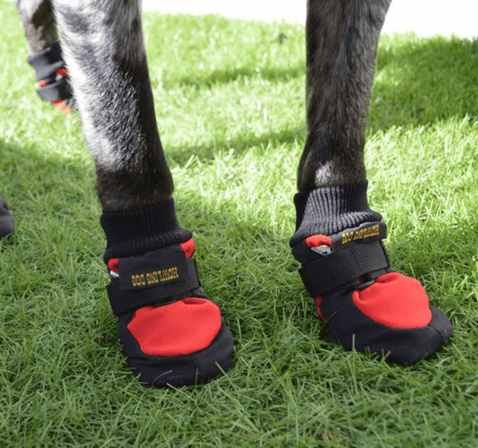 Dog Boots - Protector Set of 4 (Howling Dog Alaska) - SnowPaw Store - Howling Dog Alaska - Active Dog Gear