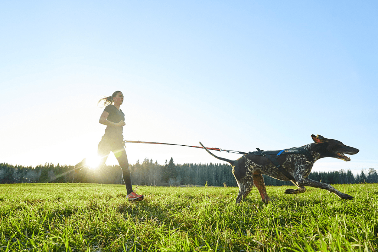 Dri - Release Tee (Non - Stop Dogwear) - SnowPaw Store - Non - Stop Dogwear - 