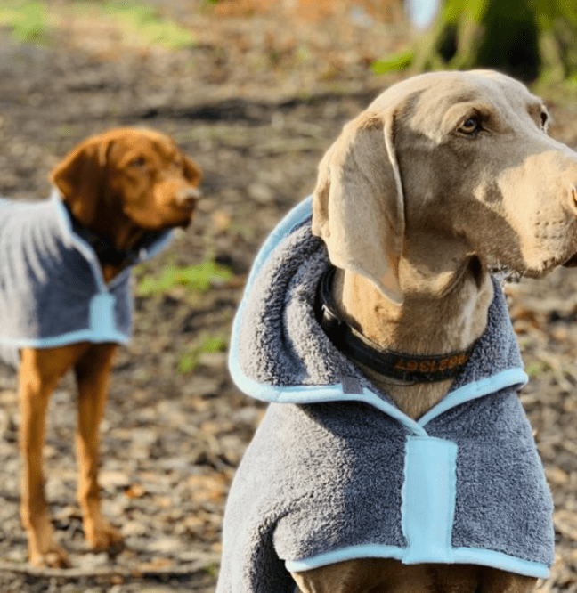 Drying Dog Coat (Henry Wag) - SnowPaw Store - Henry Wag - Active Dog Gear