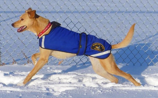 DURACOAT® (Howling Dog Alaska) - SnowPaw Store - Howling Dog Alaska - Active Dog Gear