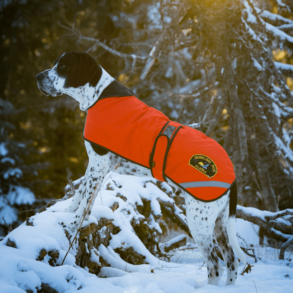 DURACOAT® (Howling Dog Alaska) - SnowPaw Store - Howling Dog Alaska - Active Dog Gear