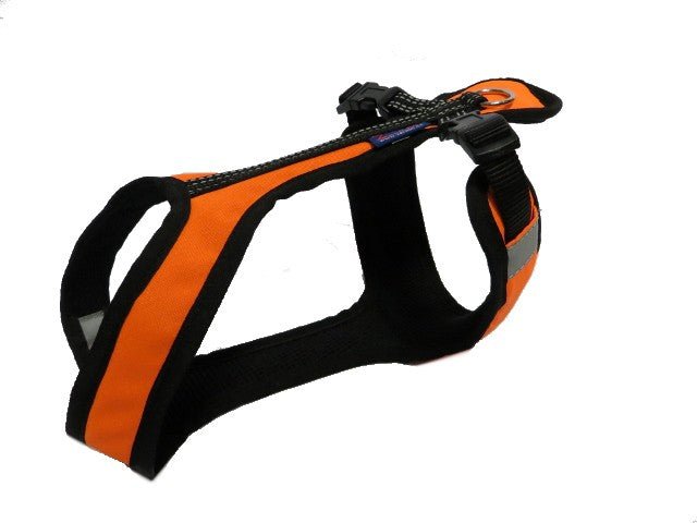 Euro Short Harness (Zero DC) - SnowPaw Store - Zero DC - Dog Harness