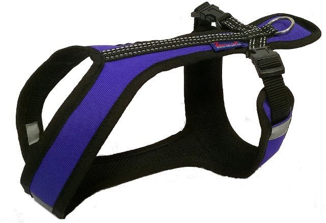Euro Short Harness (Zero DC) - SnowPaw Store - Zero DC - Dog Harness