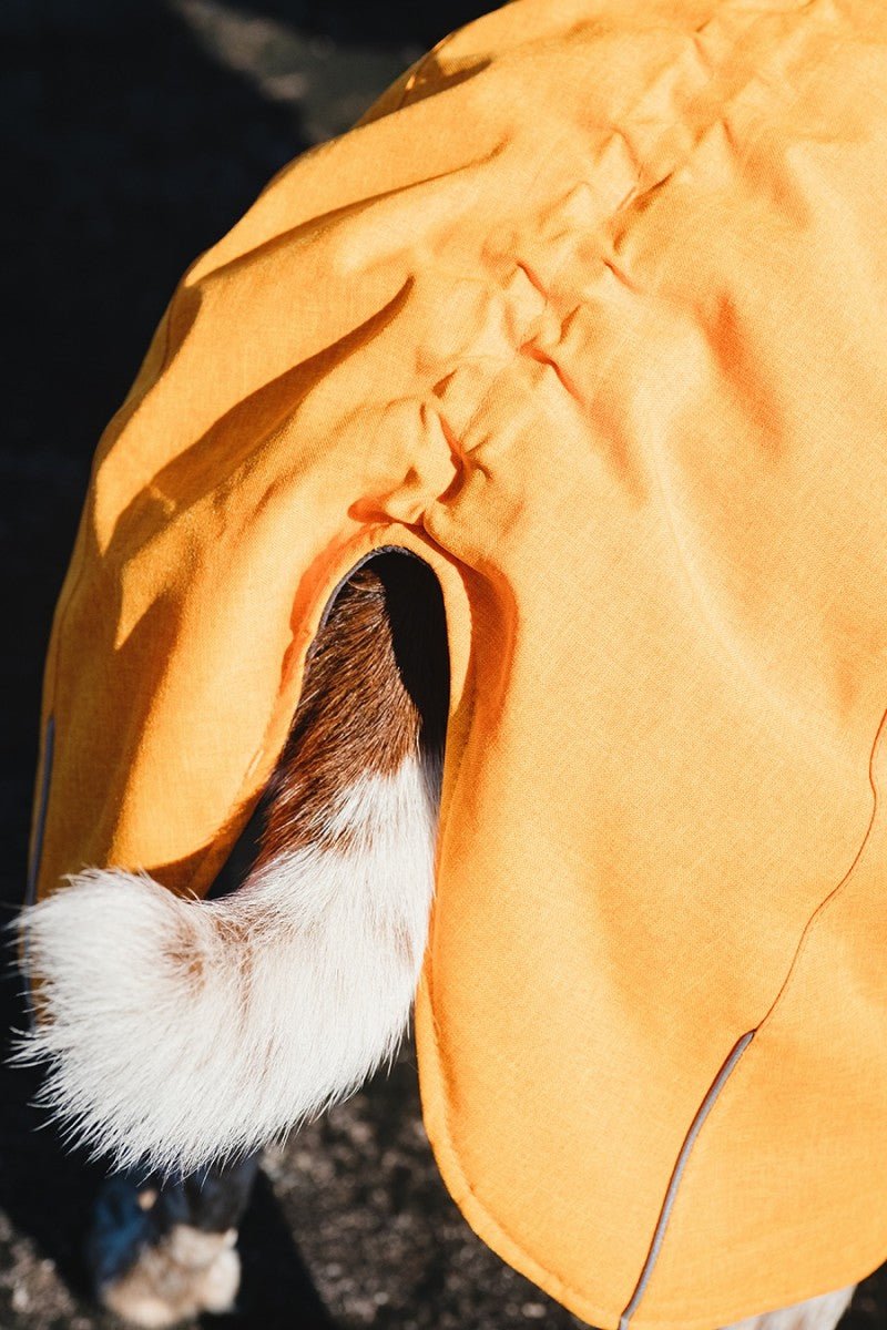 Expedition Parka - Blackberry (Hurtta) - SnowPaw Store - Hurtta - Active Dog Gear