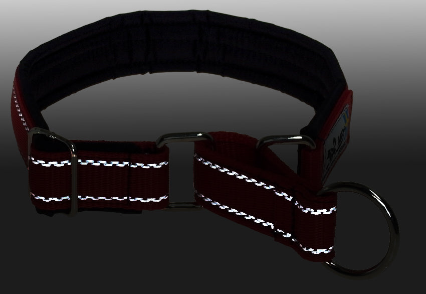 Red Dog Collar showing Reflective Stitching