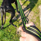 Adventure Leash (Arctic Wolf)