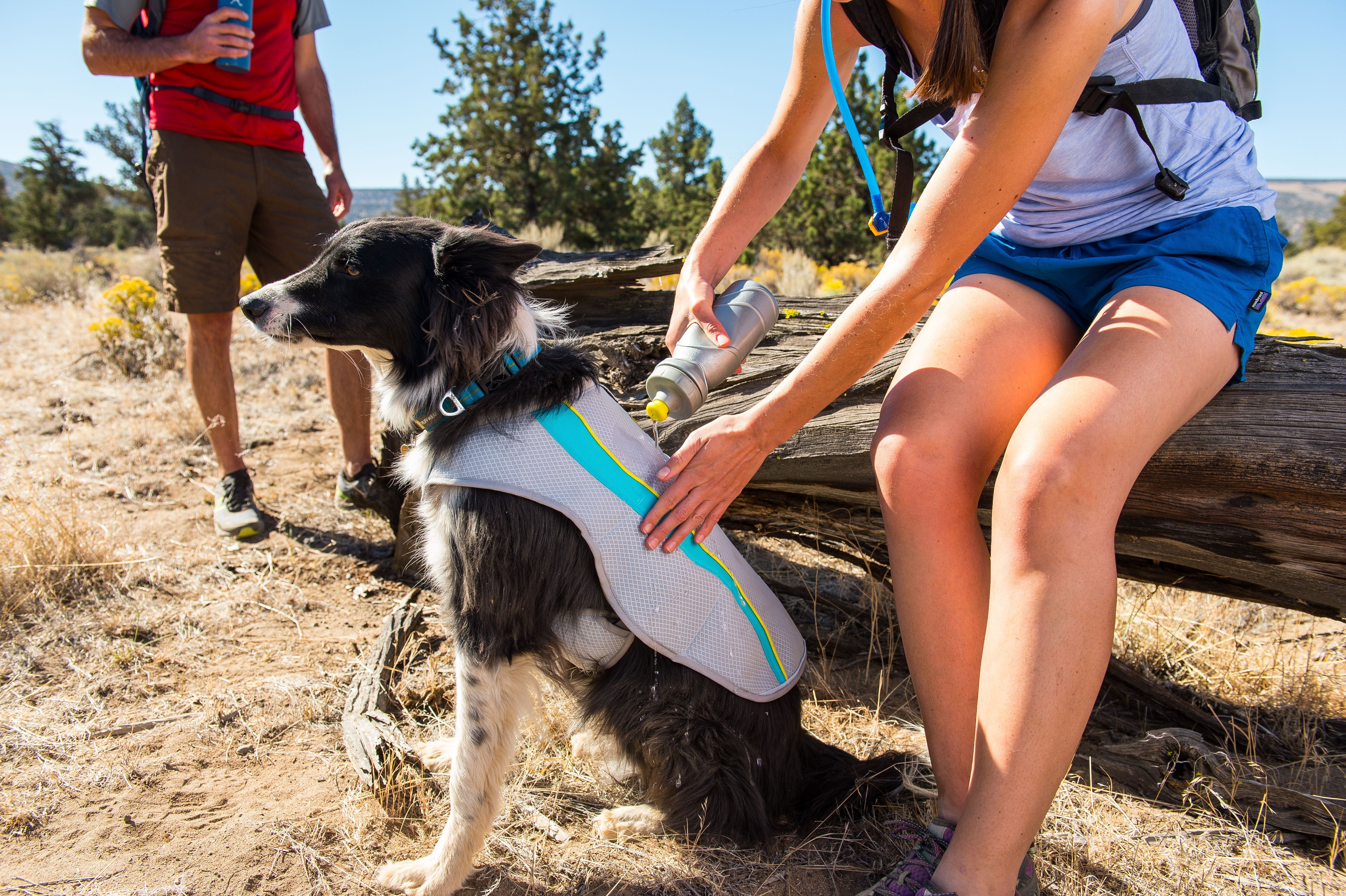 Ruffwear Swamp Cooler Dog Cooling Jacket - getting wet