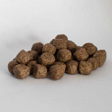 Field & Trial Salmon and Rice (Skinner's) - SnowPaw Store - Skinner's - Dog Food