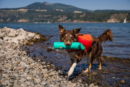 Float Coat Pre 2025 (Ruffwear) - SnowPaw Store - Ruffwear - Active Dog Gear