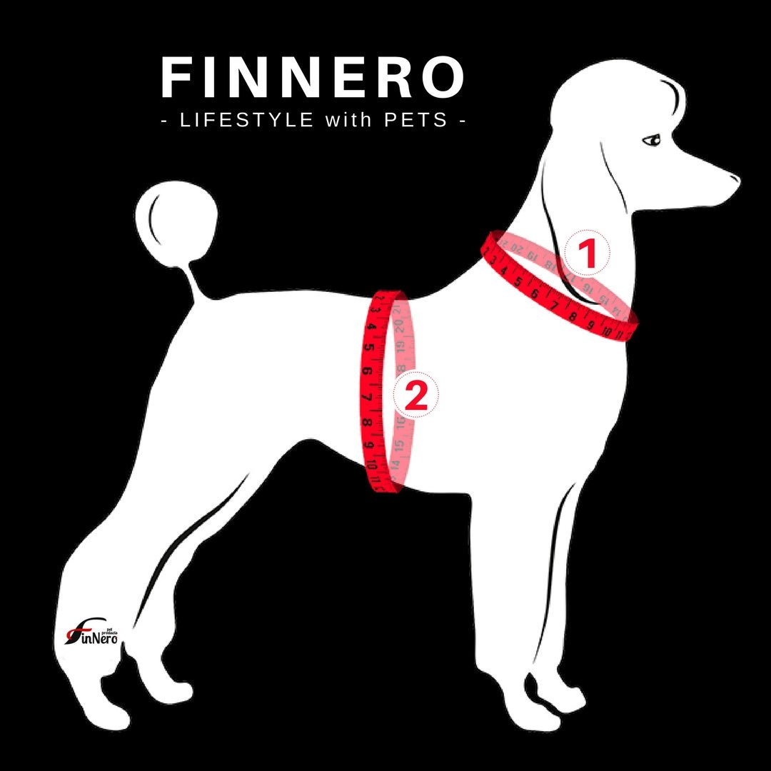 FOREST Attention Vest (Finnero) - SnowPaw Store - Finnero - Active Dog Gear