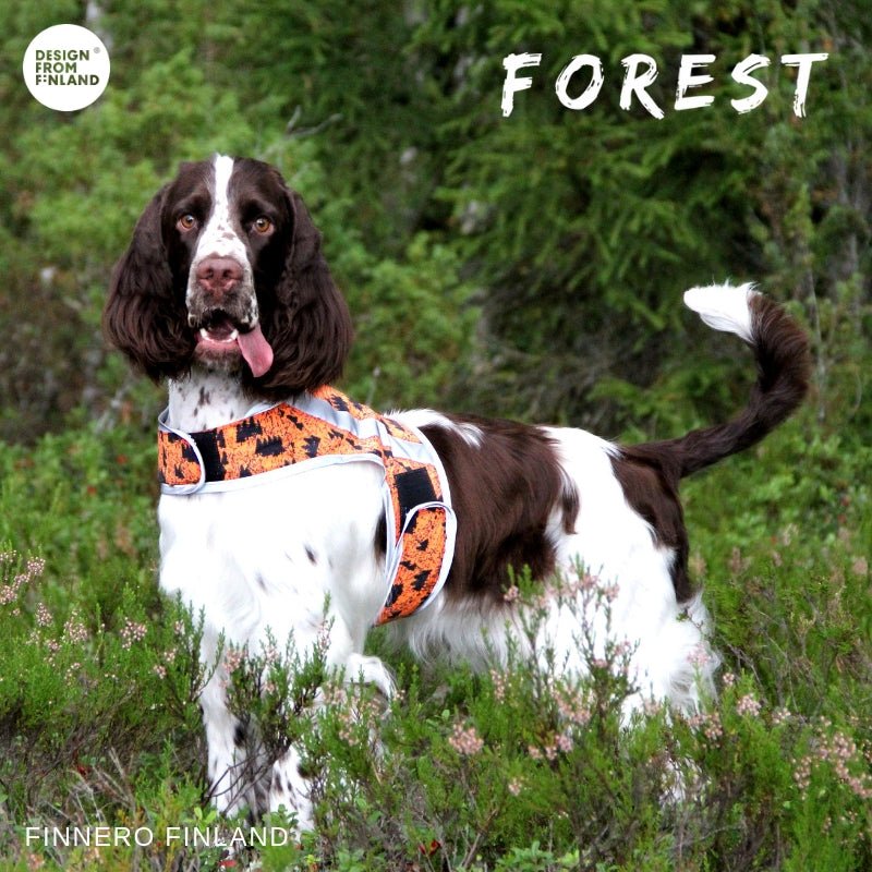 FOREST Attention Vest (Finnero) - SnowPaw Store - Finnero - Active Dog Gear