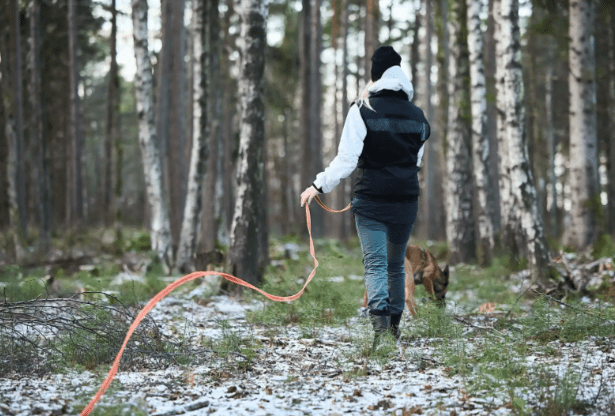 Friction Long Line (Non - Stop Dogwear) - SnowPaw Store - Non - Stop Dogwear - Dog Lead