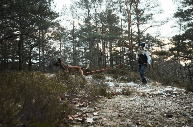 Friction Long Line (Non - Stop Dogwear) - SnowPaw Store - Non - Stop Dogwear - Dog Lead