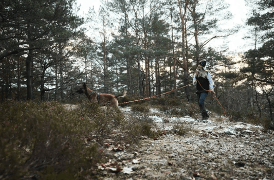 Friction Long Line (Non - Stop Dogwear) - SnowPaw Store - Non - Stop Dogwear - Dog Lead