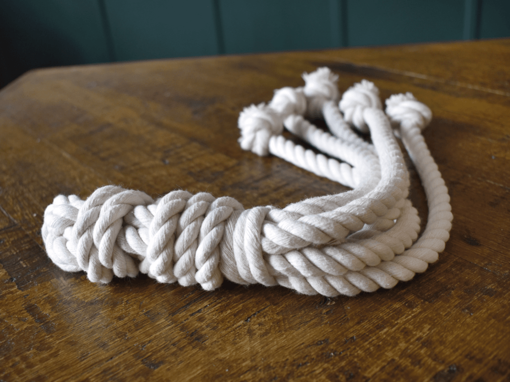 Friendly Squid Toy (Goodchaps) - SnowPaw Store - Goodchaps - Dog Toys