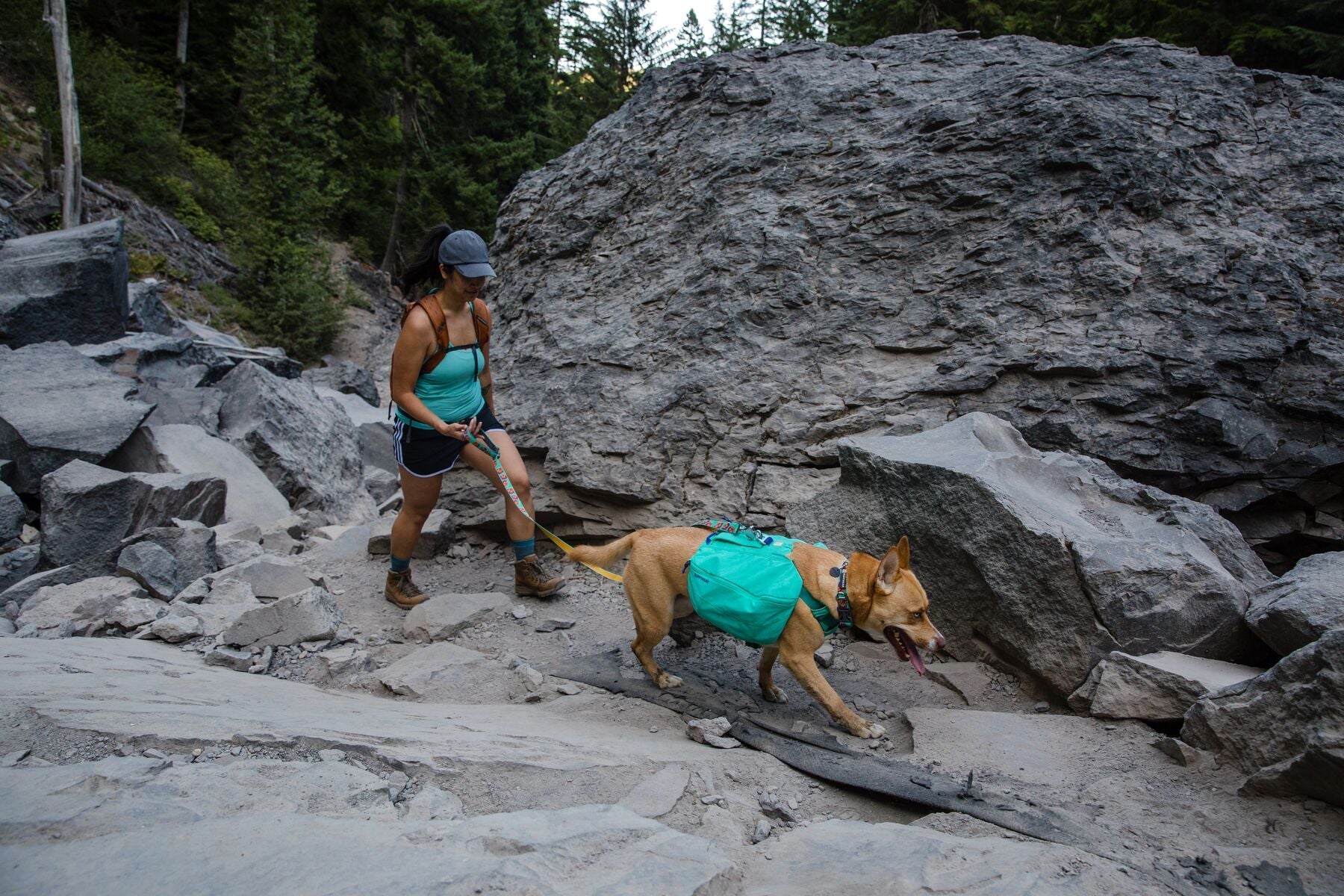 Front Range Day Pack Pre 2024 Version (Ruffwear) - SnowPaw Store - Ruffwear - Active Dog Gear