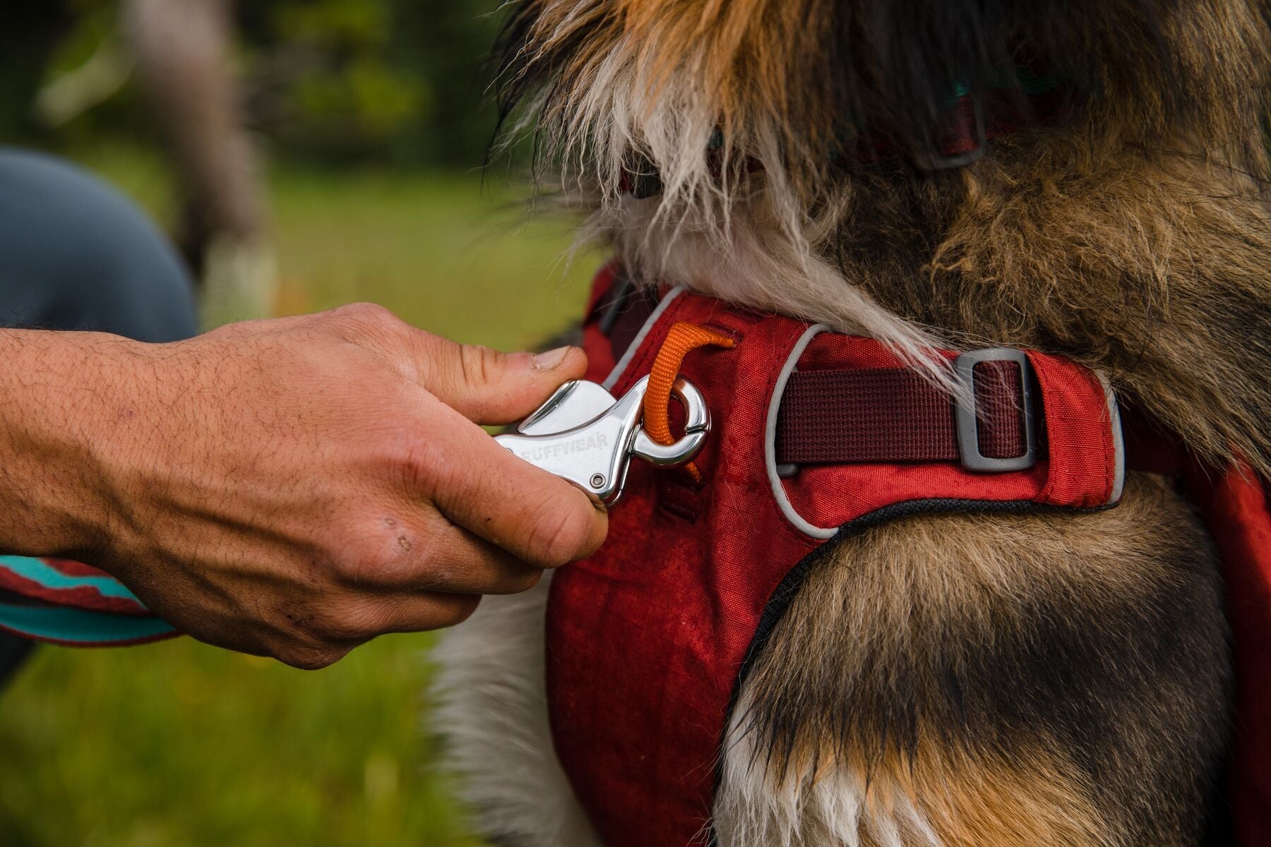 Front Range Day Pack Pre 2024 Version (Ruffwear) - SnowPaw Store - Ruffwear - Active Dog Gear