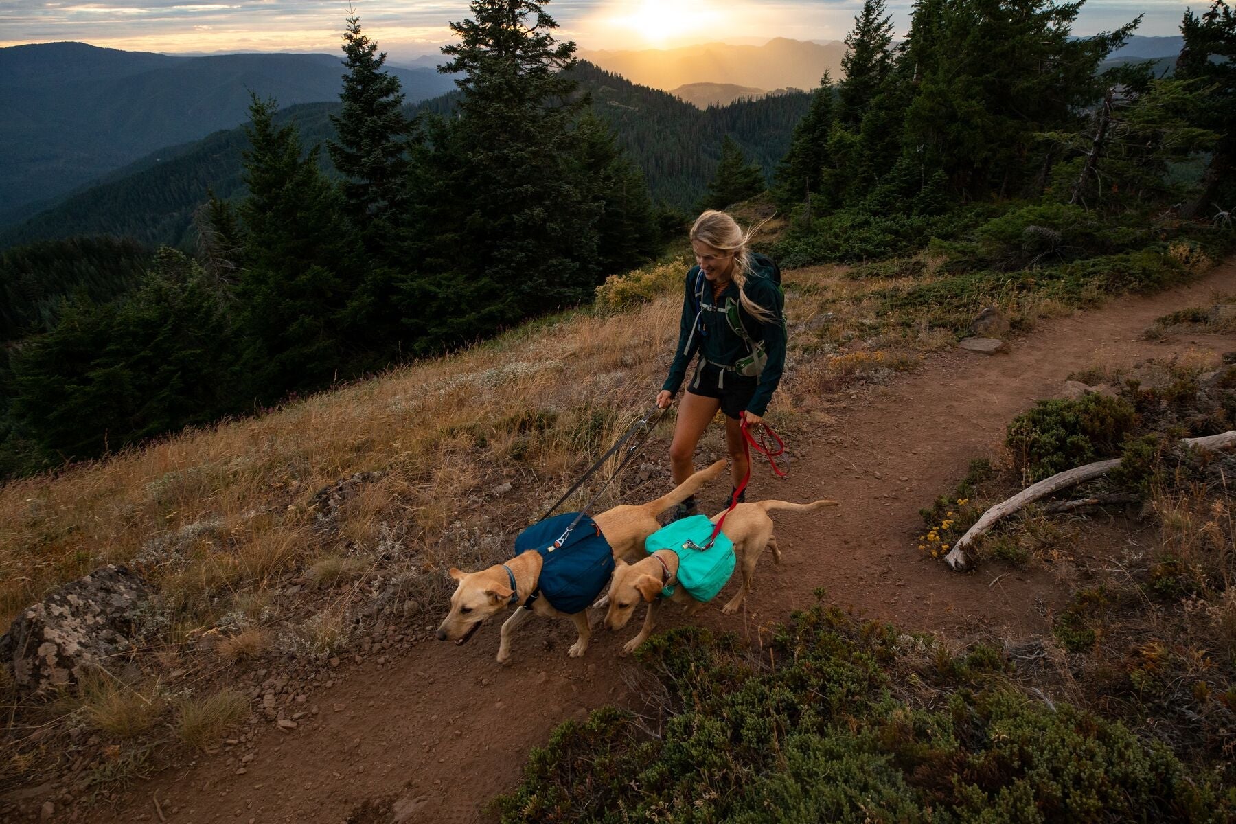 Front Range Day Pack Pre 2024 Version (Ruffwear) - SnowPaw Store - Ruffwear - Active Dog Gear
