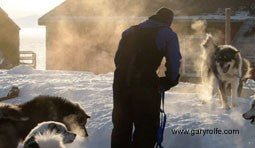 Gary Rolfe Signed Greeting Cards - SnowPaw Store - Gary Rolfe - Gifts