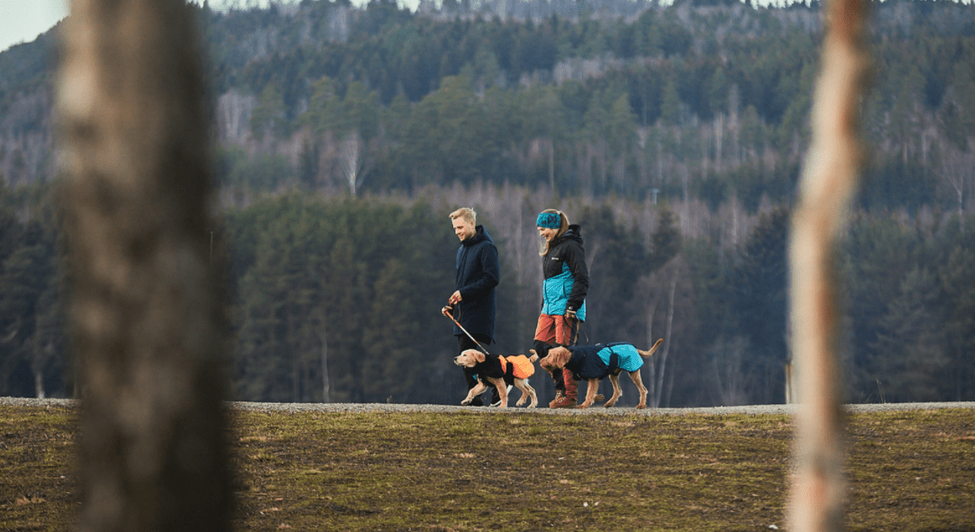 Glacier Jacket 2.0 (Non - Stop Dogwear) - SnowPaw Store - Non - Stop Dogwear - Dog Coats