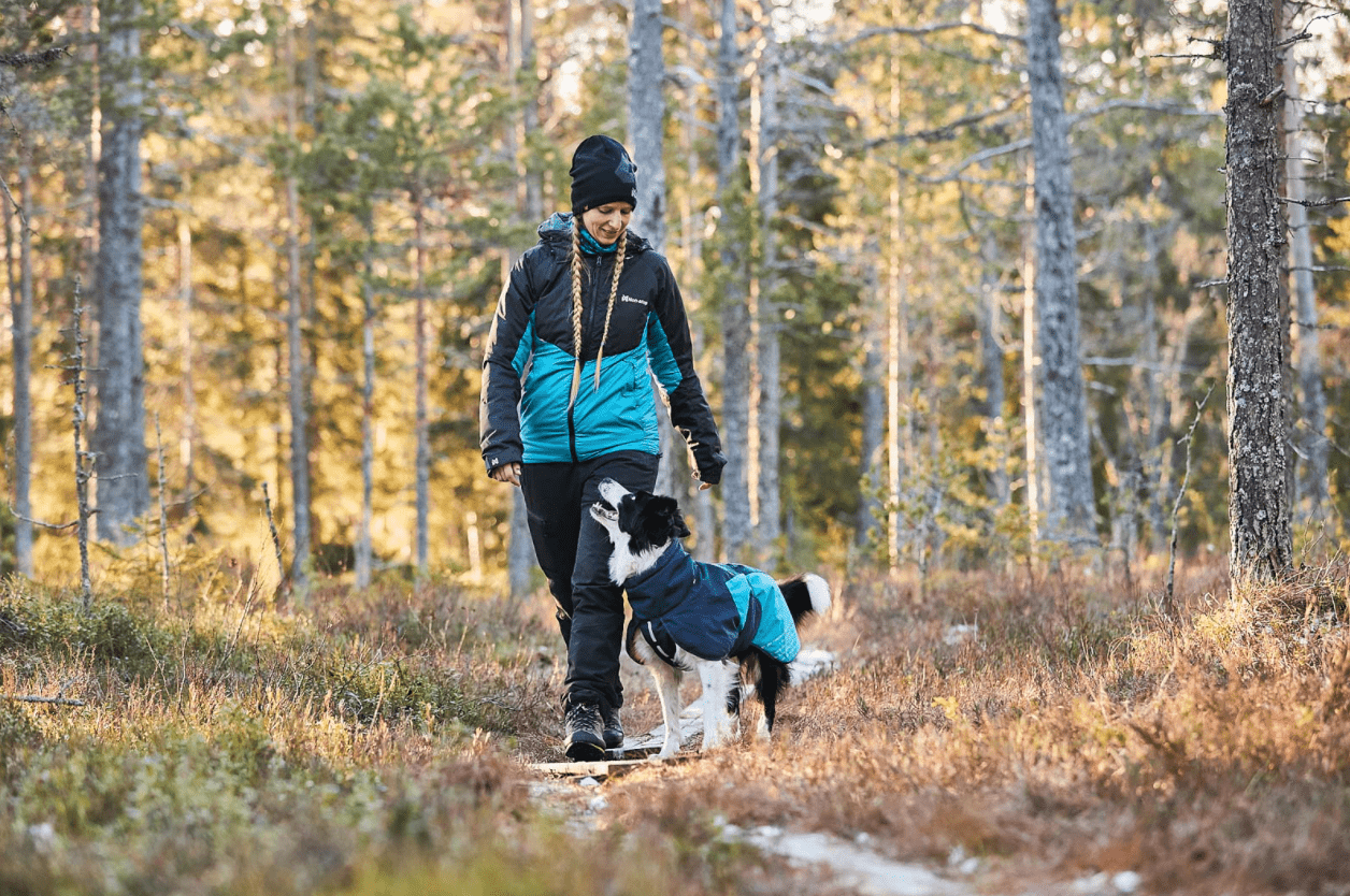 Glacier Jacket 2.0 (Non - Stop Dogwear) - SnowPaw Store - Non - Stop Dogwear - Dog Coats