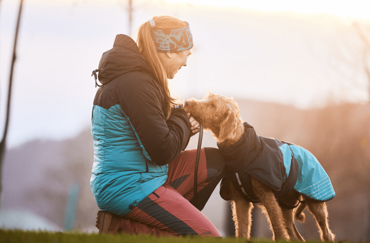 Glacier Jacket 2.0 (Non - Stop Dogwear) - SnowPaw Store - Non - Stop Dogwear - Dog Coats