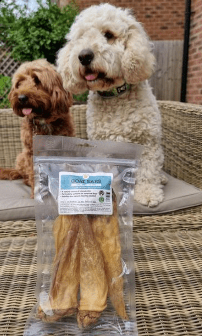 Goat Ears 130g (JR Pet Products) - SnowPaw Store - JR Pet Products - Dog Food