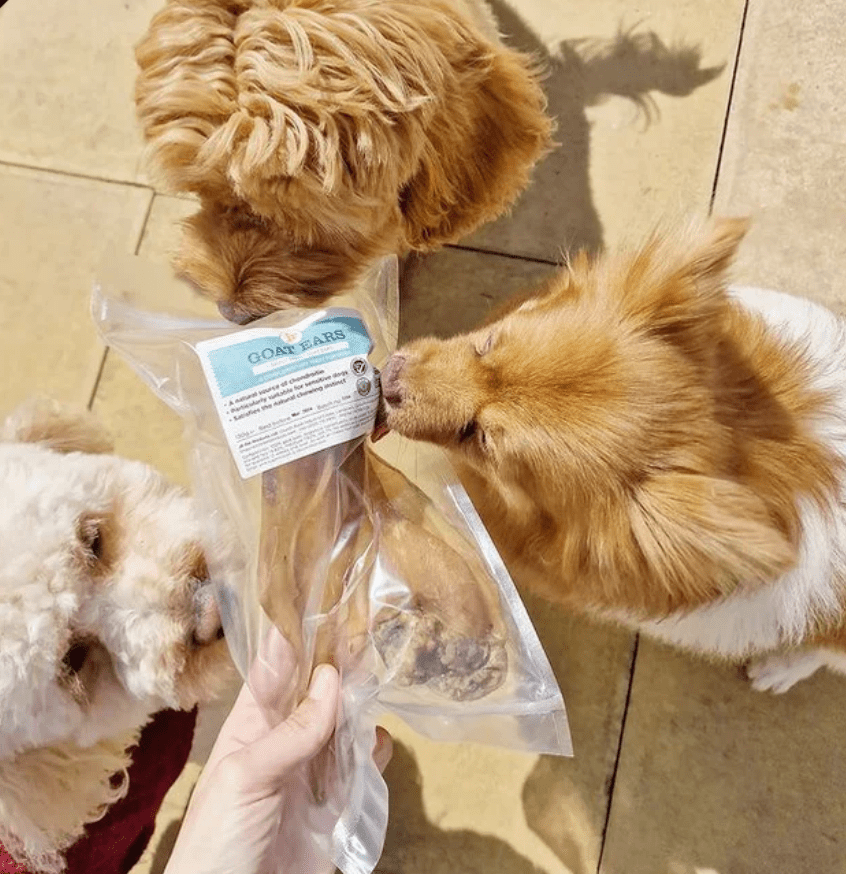 Goat Ears 130g (JR Pet Products) - SnowPaw Store - JR Pet Products - Dog Food