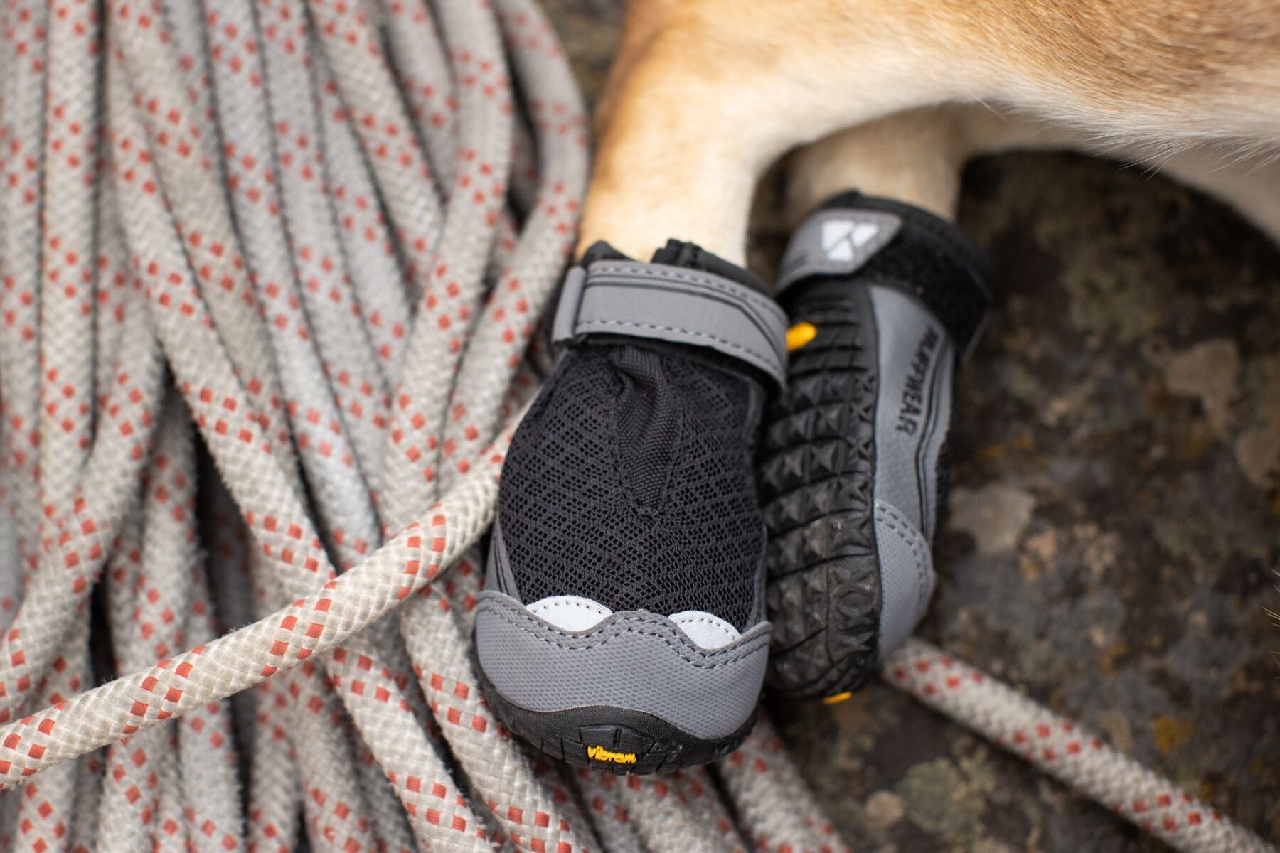 Grip Trex Dog Boots (Ruffwear) - SnowPaw Store - Ruffwear - Active Dog Gear
