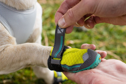 Grip Trex Dog Boots (Ruffwear) - SnowPaw Store - Ruffwear - Active Dog Gear