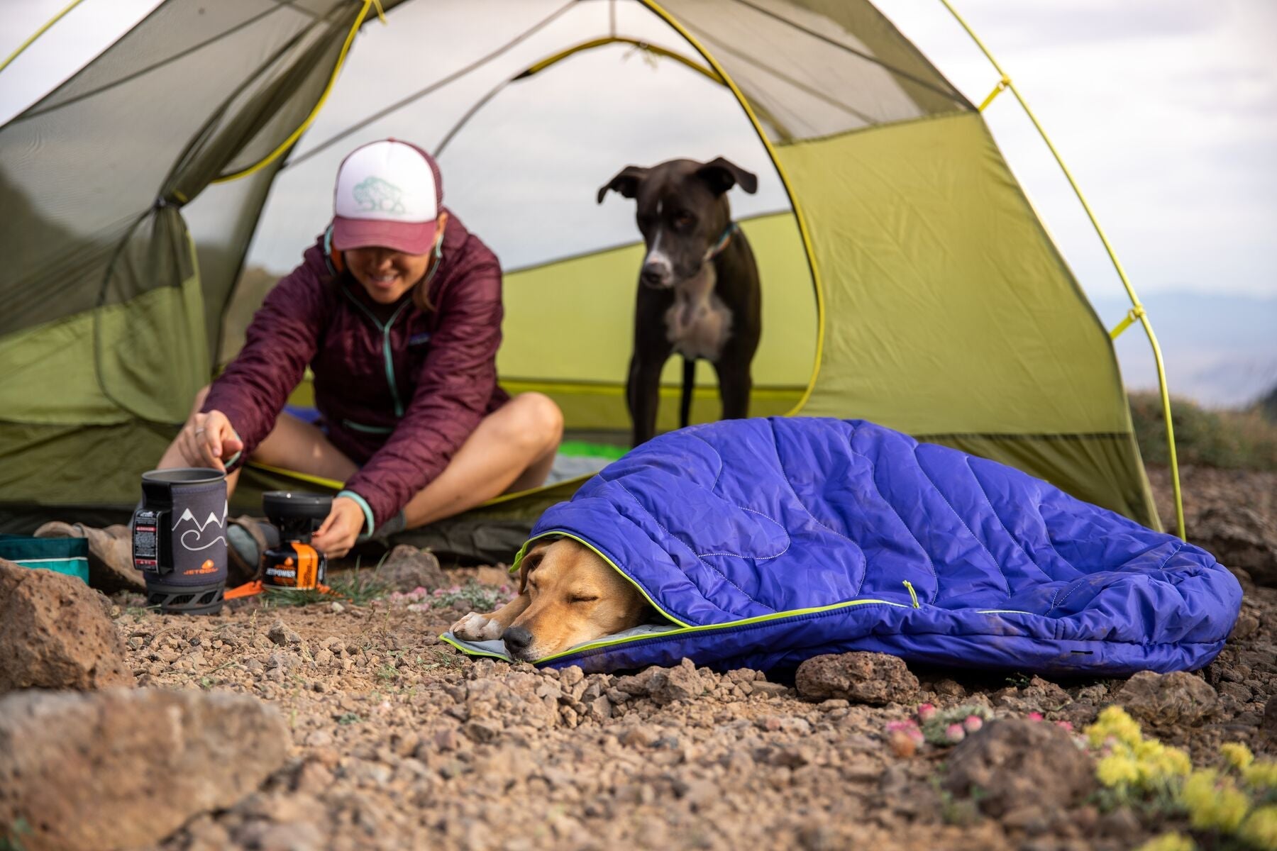 Highlands™ Sleeping Bag (Ruffwear) - SnowPaw Store - Ruffwear - 