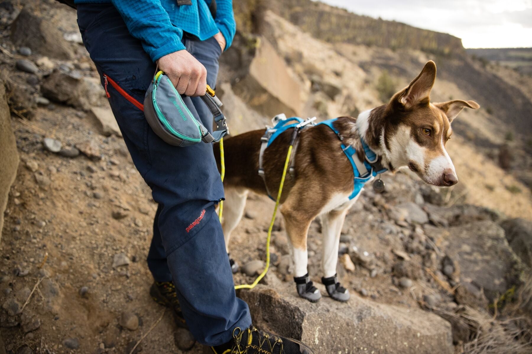 Hitch Hiker™ Leash (Ruffwear) - SnowPaw Store - Ruffwear - Dog Lead