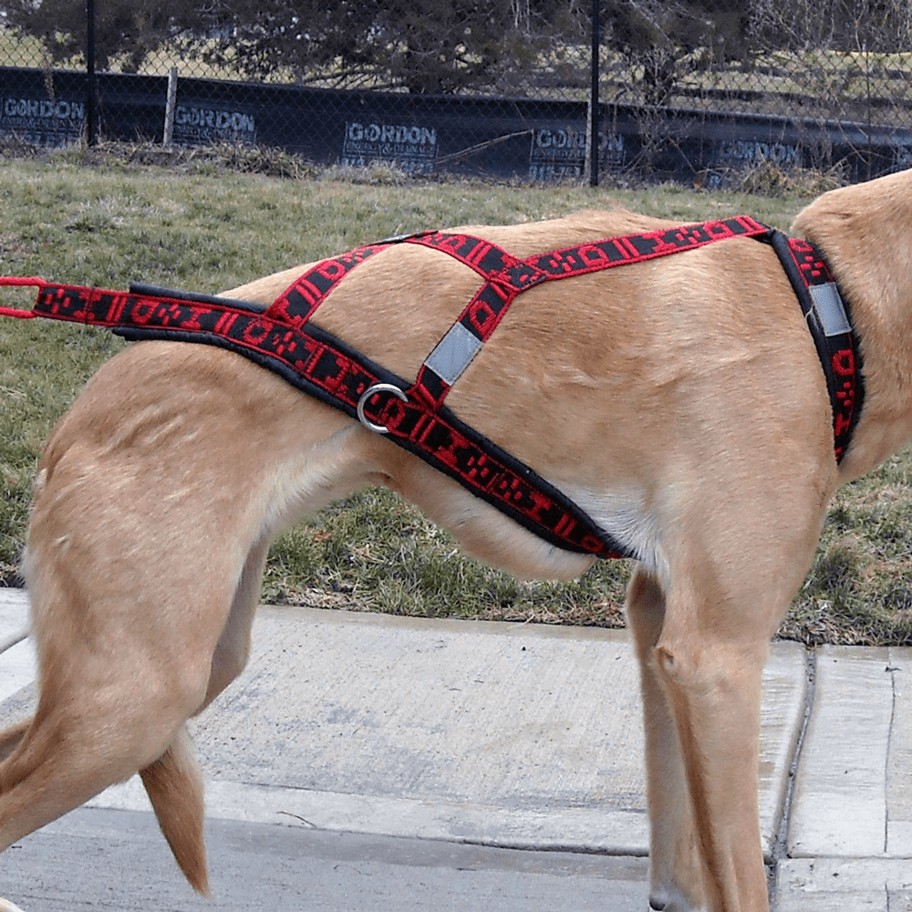 Hybrid Light Weight Harness (Howling Dog) - SnowPaw Store - Howling Dog Alaska - Dog Harness