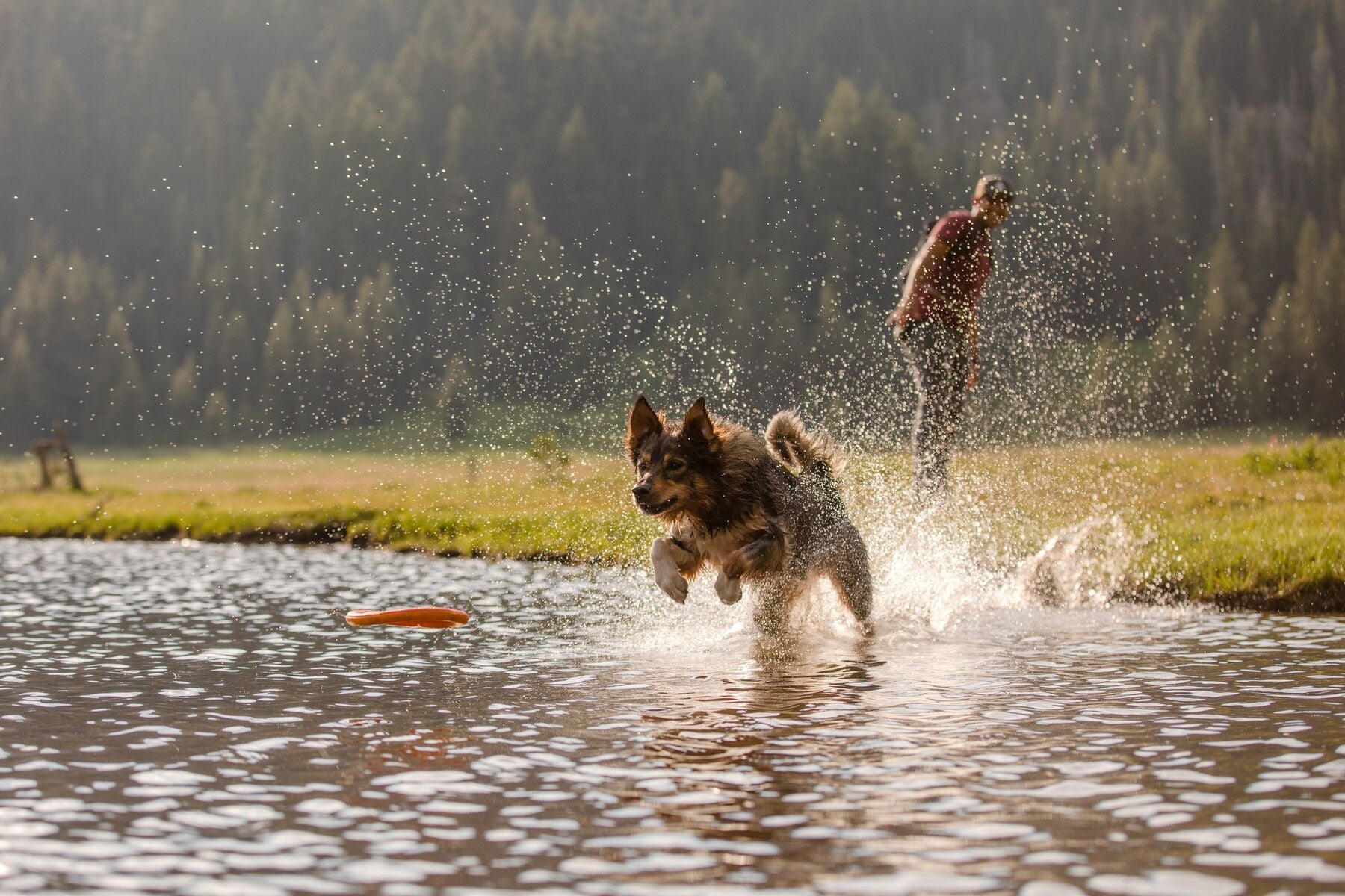 Hydroplane Toy PRE2025 (Ruffwear) - SnowPaw Store - Ruffwear - Active Dog Gear