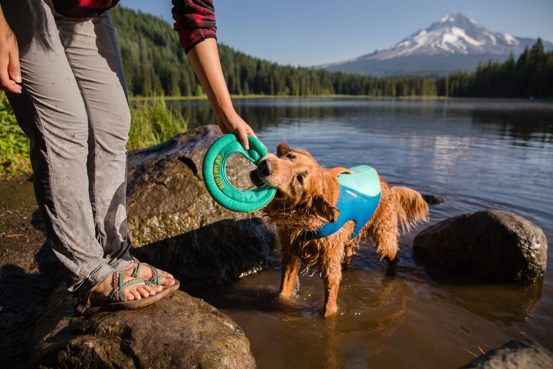 Hydroplane Toy PRE2025 (Ruffwear) - SnowPaw Store - Ruffwear - Active Dog Gear