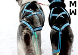 X-Back Dog Harness (ManMat)