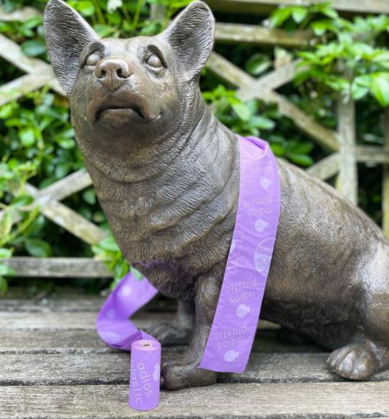 Individual Compostable Poo Bags (Adios) - SnowPaw Store - Adios Plastic - Food & Health