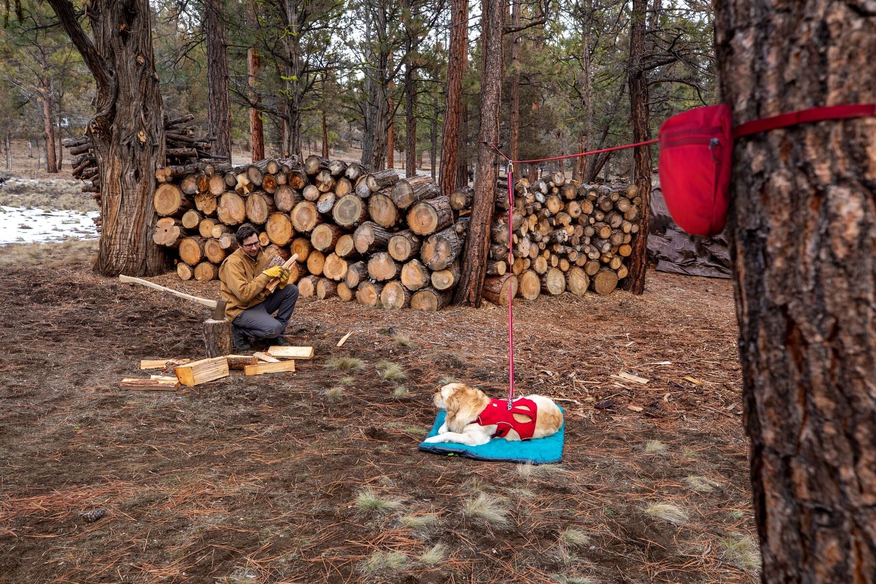 Knot - a - Hitch Dog Tethering System (Ruffwear) - SnowPaw Store - Ruffwear - Active Dog Gear