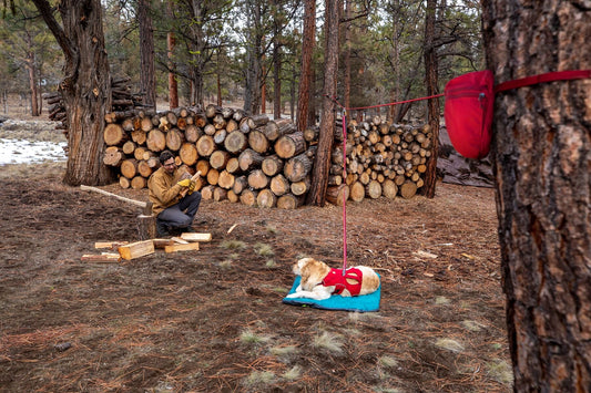 Knot - a - Hitch Dog Tethering System (Ruffwear) - SnowPaw Store - Ruffwear - Active Dog Gear