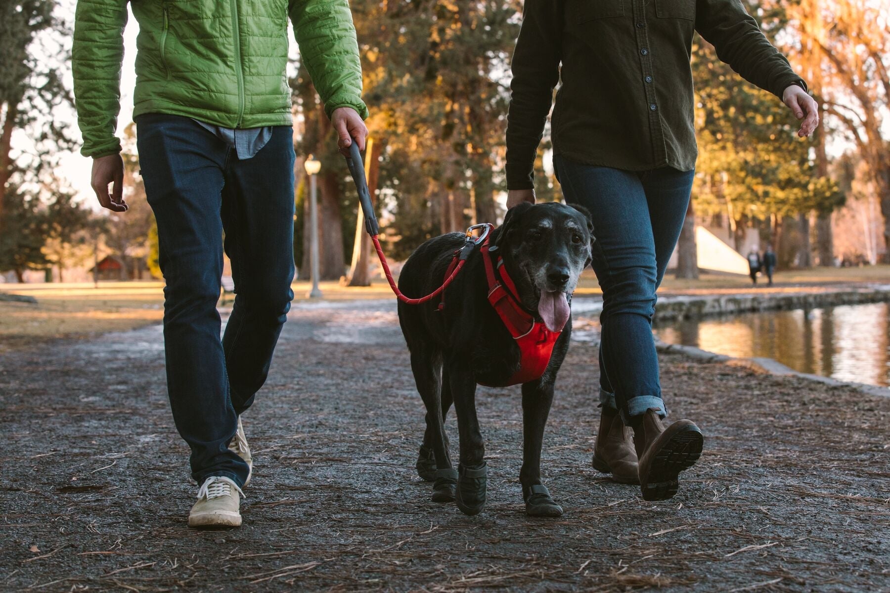 Knot - a - Long (Ruffwear) - SnowPaw Store - Ruffwear - Dog Collars, Leads, Belts