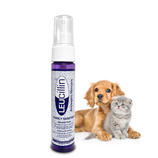 Leucillin Antiseptic Skincare - SnowPaw Store - Leucillin - Food & Health