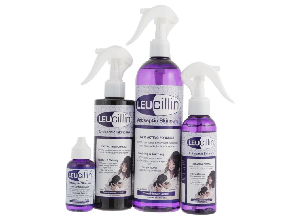 Leucillin Antiseptic Skincare - SnowPaw Store - Leucillin - Food & Health