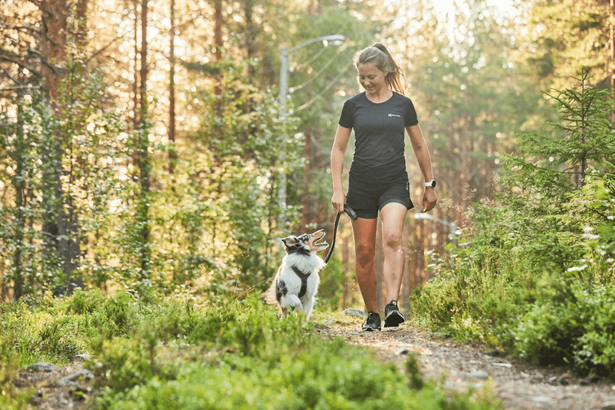 Line Harness 5.0 (Non - Stop Dogwear) - SnowPaw Store - Non - Stop Dogwear - Dog Harness