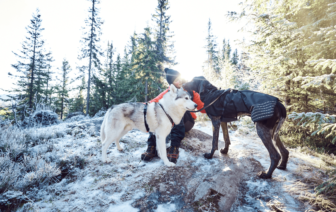 Line Harness Grip (Non - Stop Dogwear) - SnowPaw Store - Non - Stop Dogwear - Dog Harness