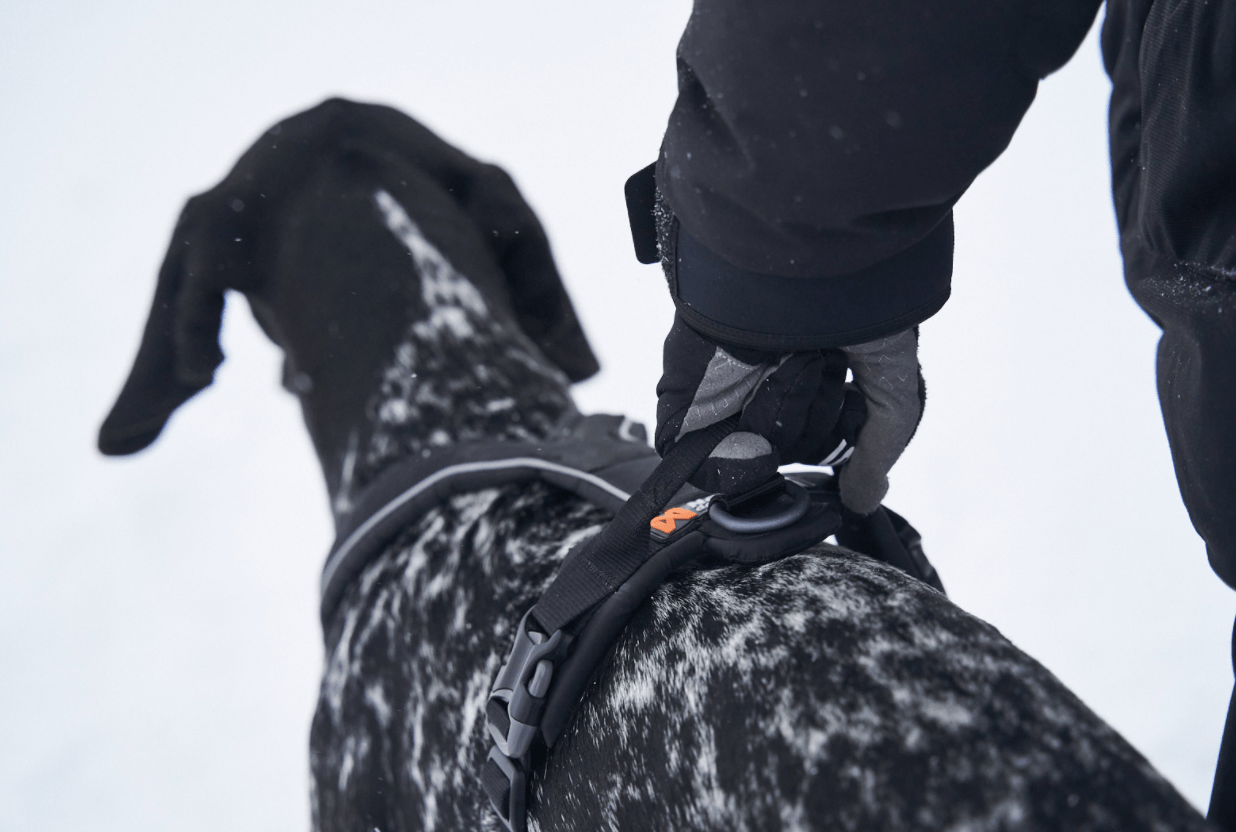 Line Harness Grip (Non - Stop Dogwear) - SnowPaw Store - Non - Stop Dogwear - Dog Harness