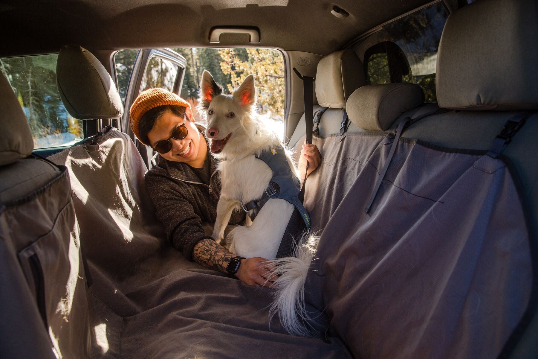 Load Up Dog Car Harness (Ruffwear) - SnowPaw Store - Ruffwear - Active Dog Gear
