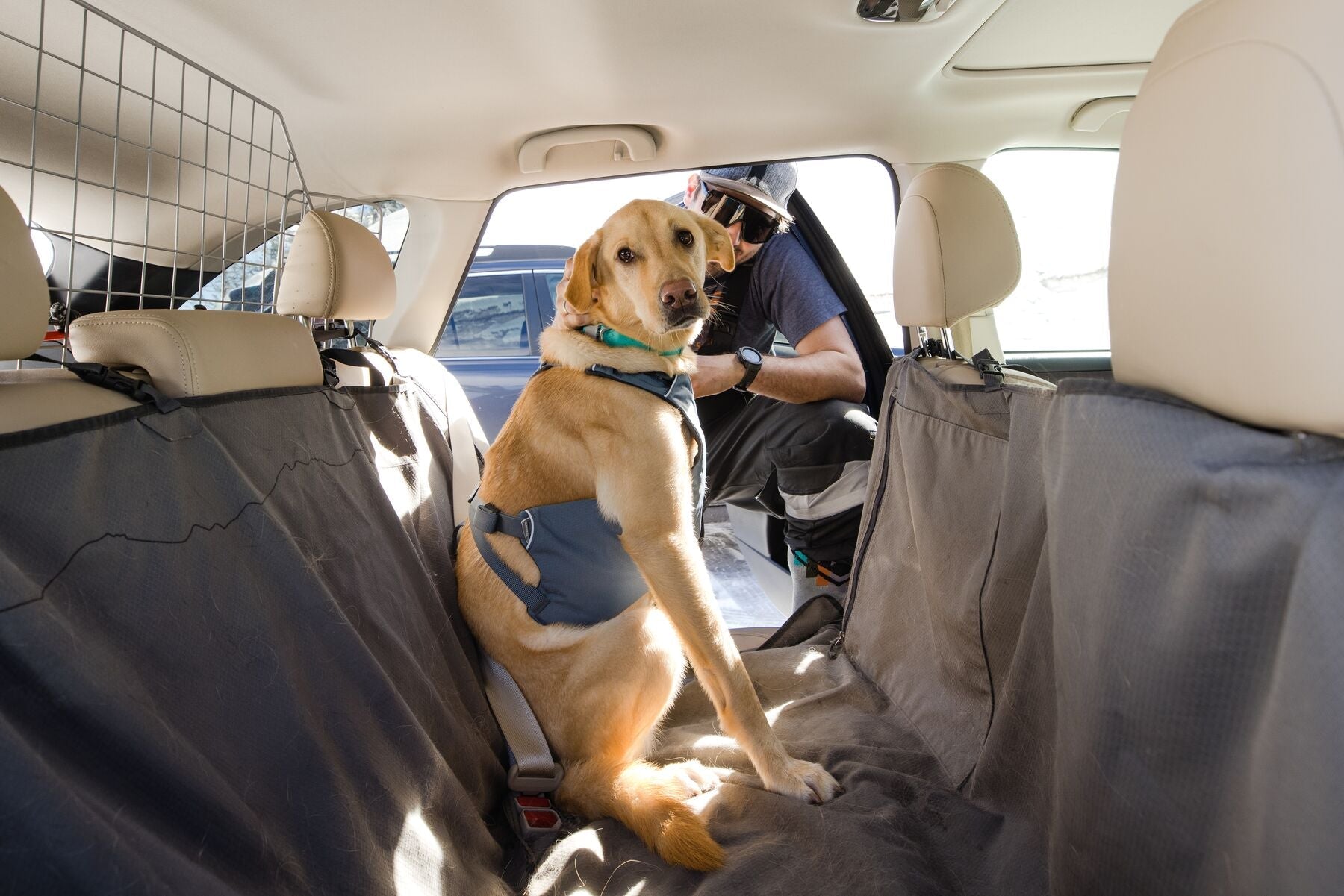 Load Up Dog Car Harness (Ruffwear) - SnowPaw Store - Ruffwear - Active Dog Gear