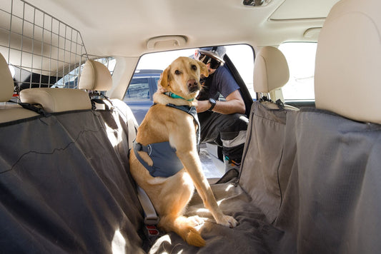 Load Up Dog Car Harness (Ruffwear) - SnowPaw Store - Ruffwear - Active Dog Gear