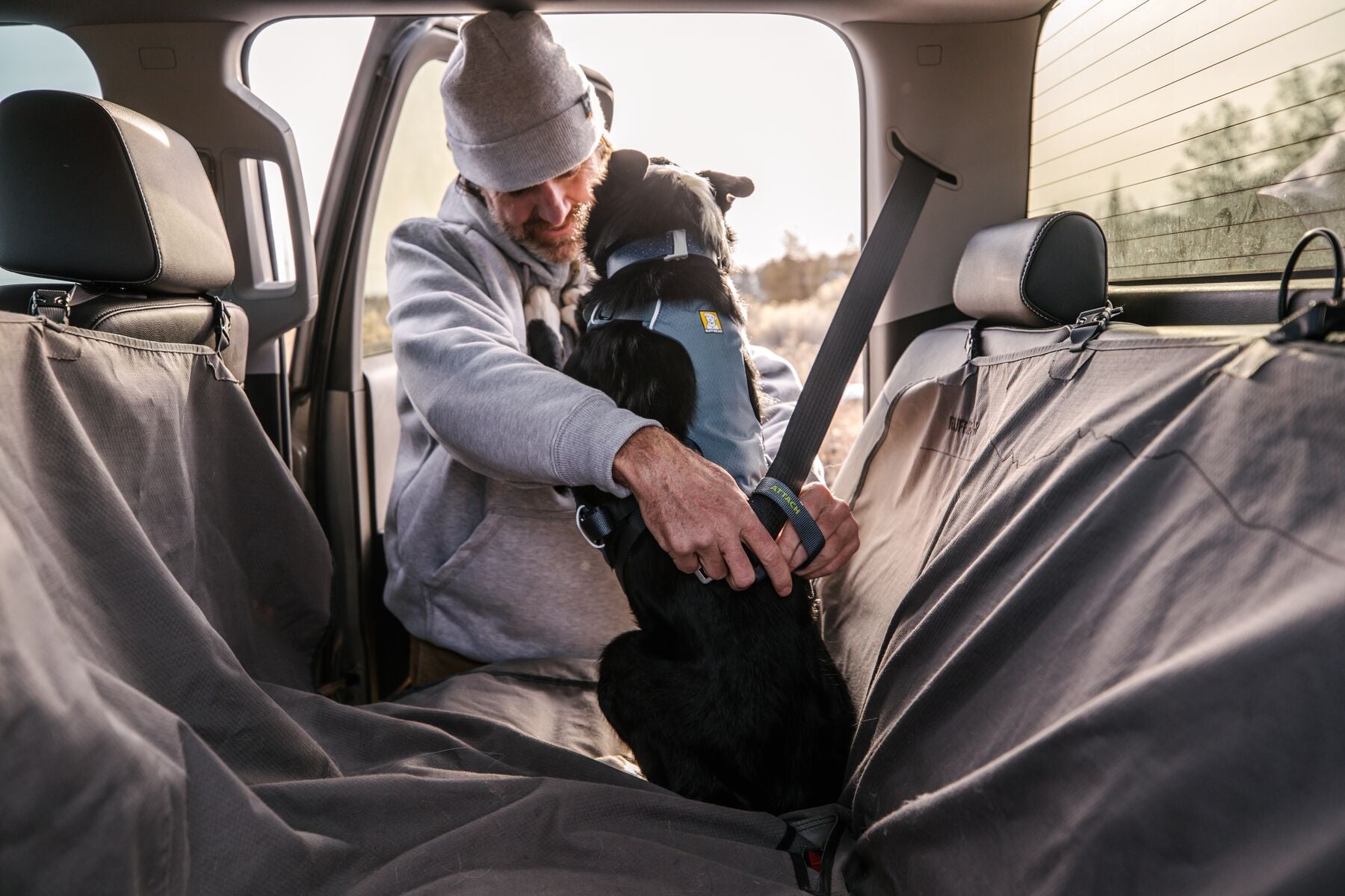 Load Up Dog Car Harness (Ruffwear) - SnowPaw Store - Ruffwear - Active Dog Gear