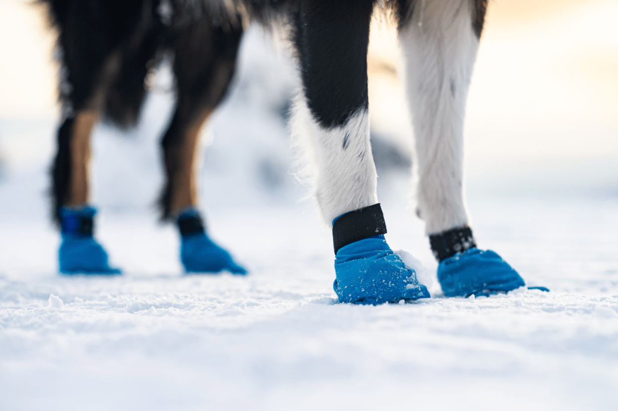 Long Distance Booties - 4 pack (Non - Stop Dogwear) - SnowPaw Store - Non - Stop Dogwear - Sled Dog Equipment